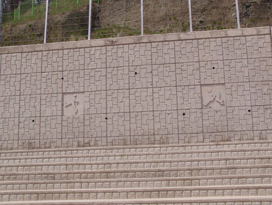 스케이팅