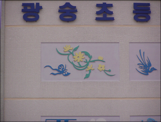 꽃과나비