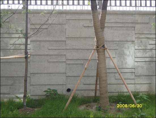 M-141 C 기하학2