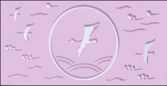 철새B