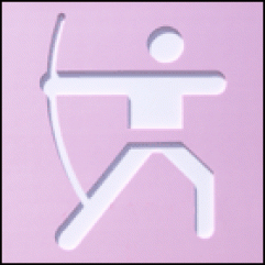 양궁